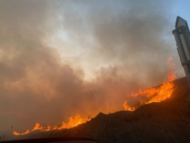 Ce amenzi riscă persoanele care incendiază intenționat vegetația